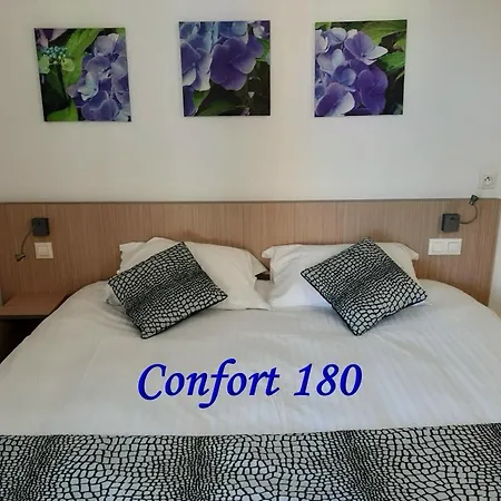 Au Beaujolais Saint Jean Otel Belleville-sur-Saône